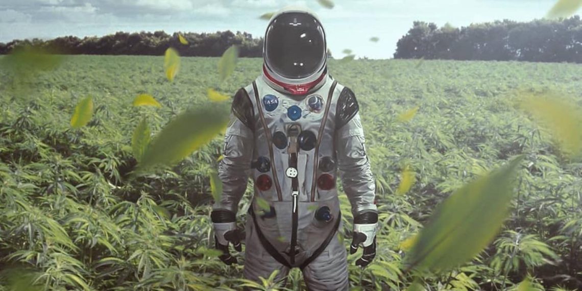 cannabis-expo-virtual-emerge-registro-gratis-marihuana