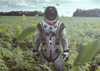 cannabis-expo-virtual-emerge-registro-gratis-marihuana