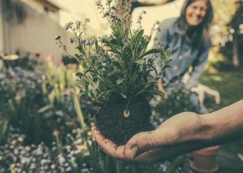 afterpay-compras-sustentables-mes-de-la-tierra