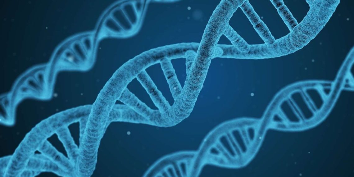 corea-del-sur-pasaportes-blockchain-vacunacion-covid-19