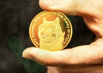 dodgecoin-precio-alcanza-un-nuevo-pico-historico