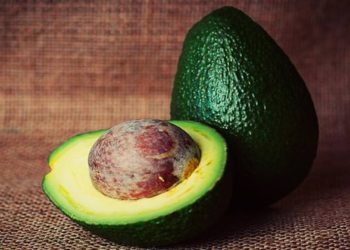 Aplican tecnología de la NASA para exportar aguacate