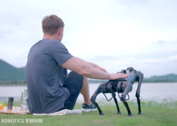 China lanza perro robot a la venta