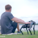 China lanza perro robot a la venta