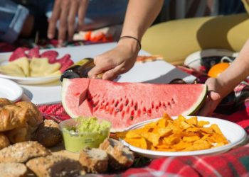 dia-internacionla-del-picnic-por-que-se-celebra