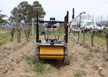 grape-upc-robots-vinedos-uvas-europa-vino