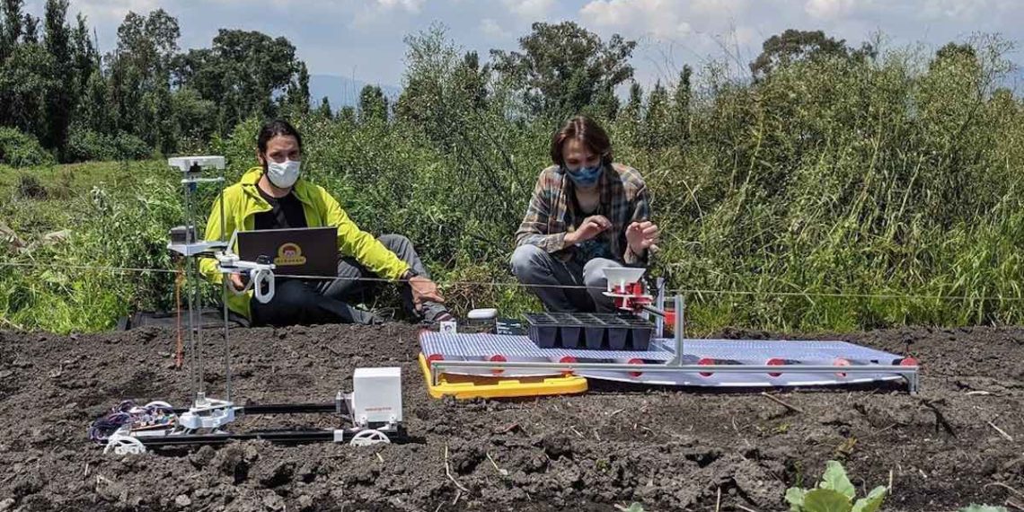 robots.xochimilco-chinampas-robotanica