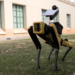 kia-perro-robot-boston-dynamics