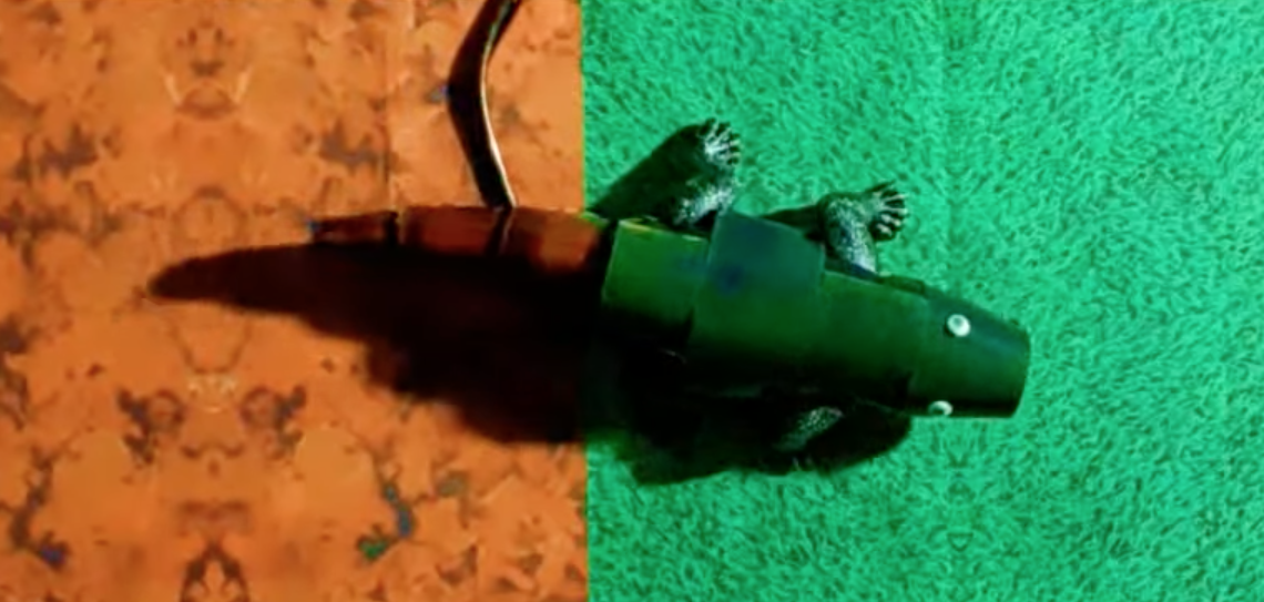 Robot camaleón camuflaje