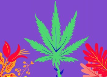 eaze-delivery-de-marihuana-app-domicilio