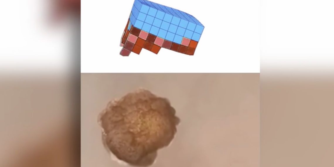 robot-microscopico-aceite-agua-universidad