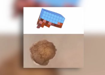 robot-microscopico-aceite-agua-universidad