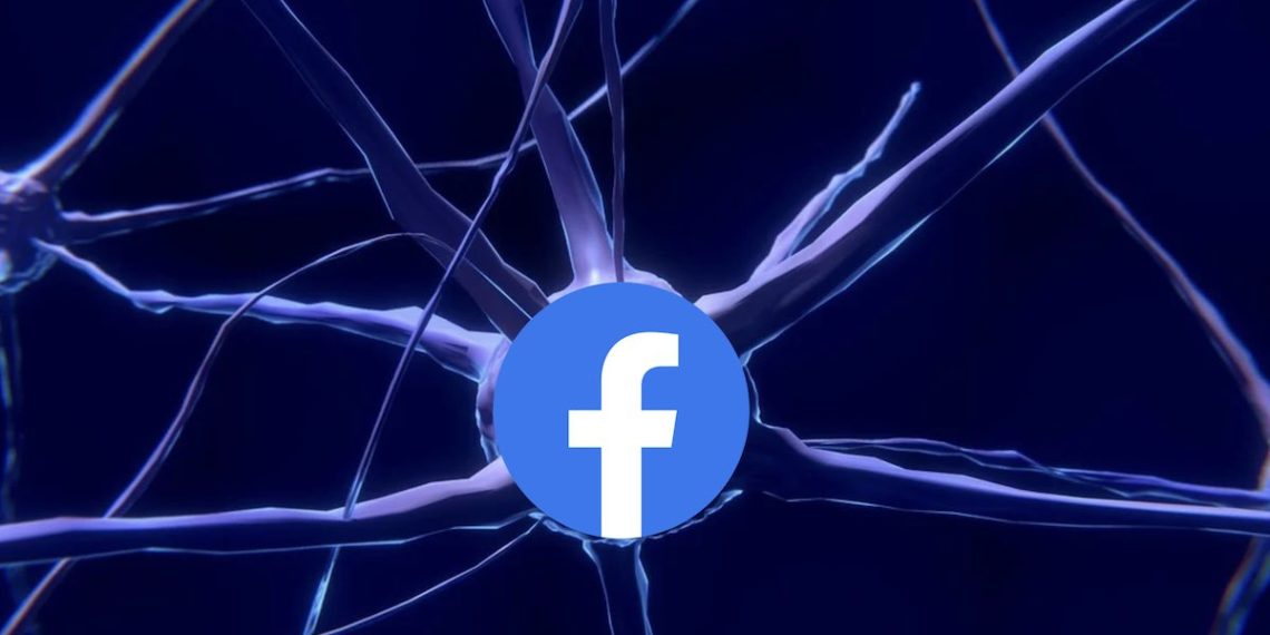 steno-implante-cerebral-de-facebook