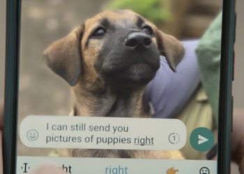 whatsapp-como-activar-modo-desconexion-vacaciones