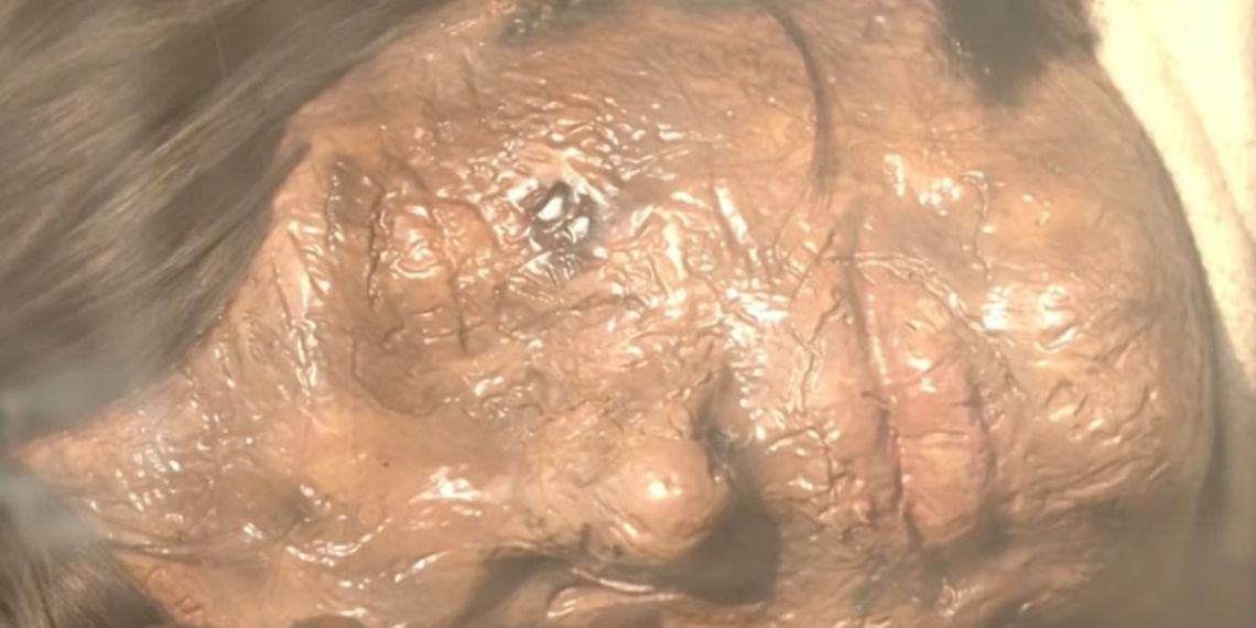 ai-da-robot-artista-exposicion-piramides-egipto