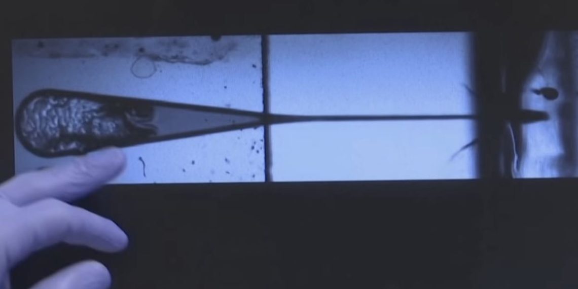 bubble-gun-vacunas-sin-agujas-video