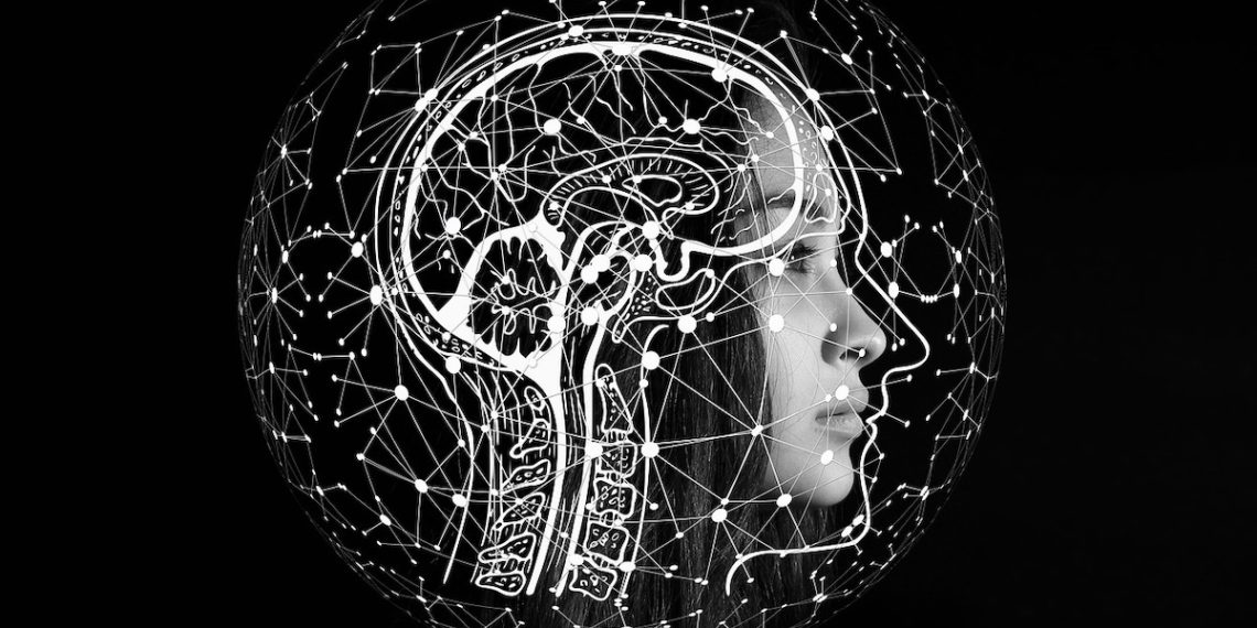 cerebelo-artificial-para-robots-universidad-granada