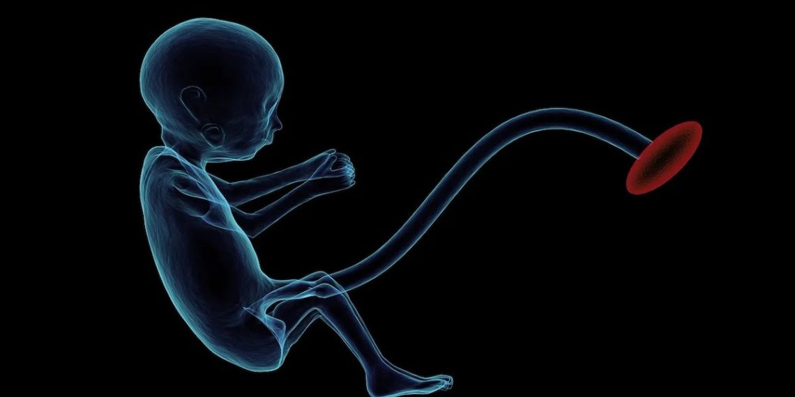 consultas-ginecologicas-a-distancia-unam-telemedicina