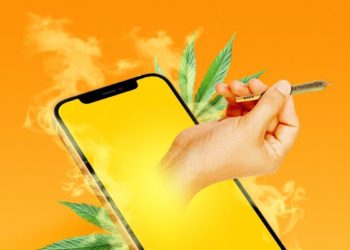 dutchie-cannabis-plataforma-de-e-commerce