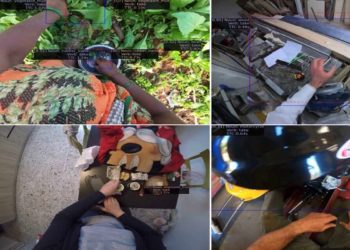 ego4d-facebook-inteligencia-artificial-anuncio