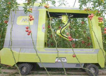 grow-robot-que-cultiva-tomates-video-israel