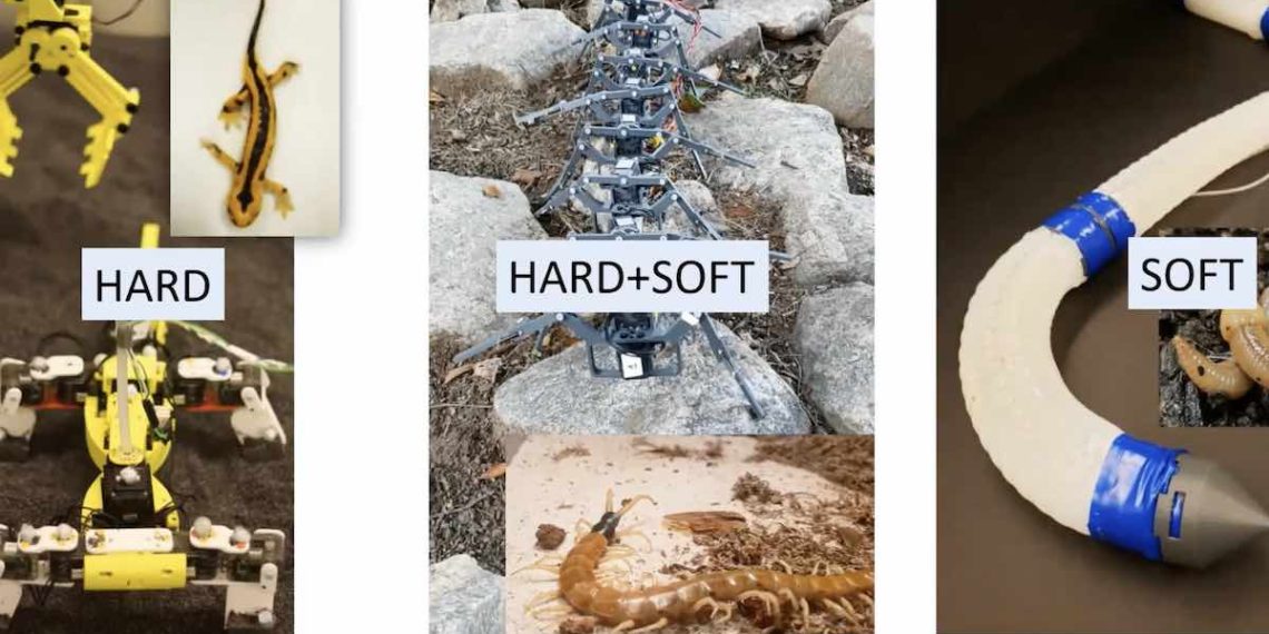 insecto-robots-parecidos-a-hormigas-notre-dame