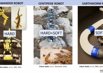 insecto-robots-parecidos-a-hormigas-notre-dame