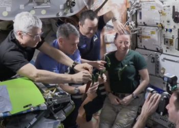 astronautas-crean-taco-con-chile-espacial