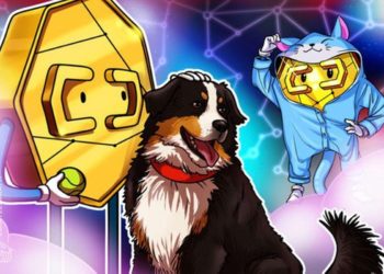 firulaix-fundacion-qolkrex-blockchain-animales