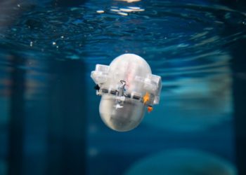 carl-bot-robot-oceano-inteligencia-artificial