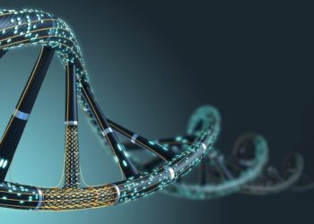 microsoft-adn-almacenamiento-digital-informacion