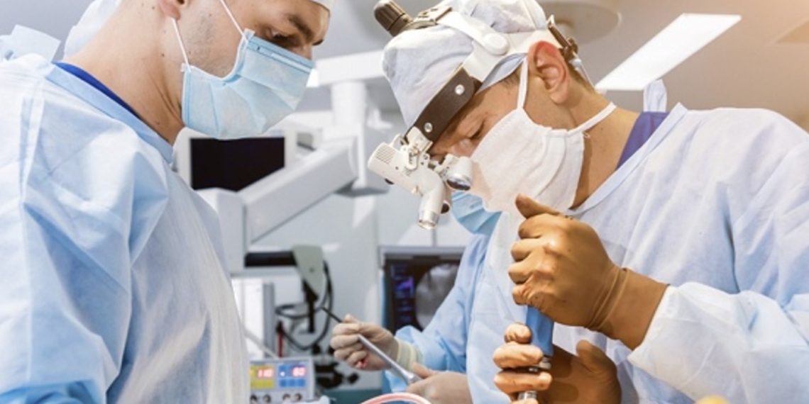 cerdo-riñones-trasplante-humano-manipulacion-genetica