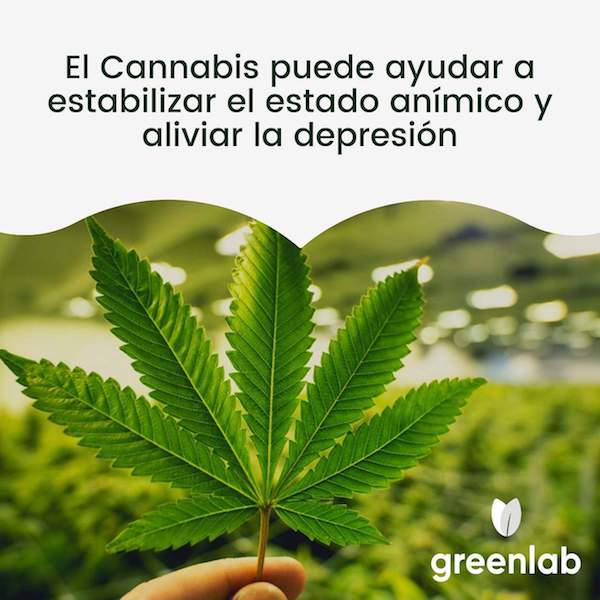 greenlab-colombia