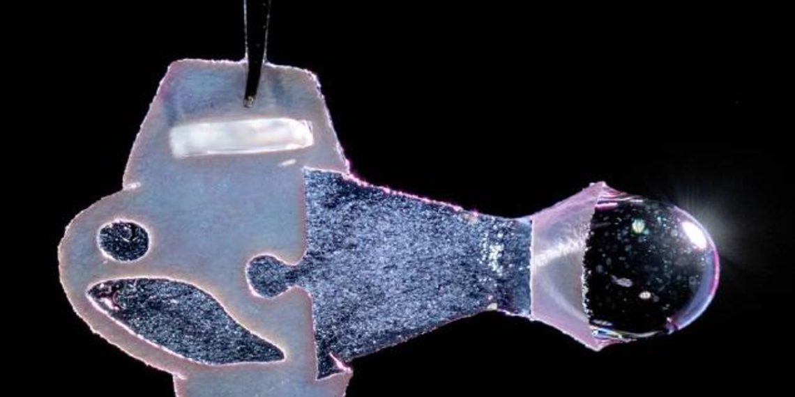 pez-robot-bio-hibrido-corazones-artificiales-celulas-estados-unidos
