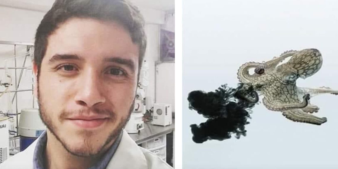 sonora-tinta-pulpos-combatir-cancer-compuesto 1