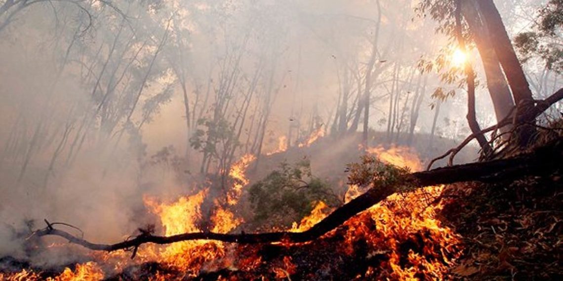 tecnosylva-lidar-prevenir-incendios-esquema-3d 1