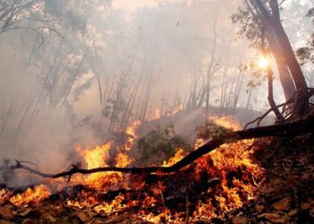 tecnosylva-lidar-prevenir-incendios-esquema-3d 1