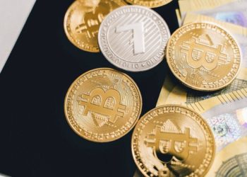 tigres-stefany-ferrer-criptomonedas-transferencia-bitso 1