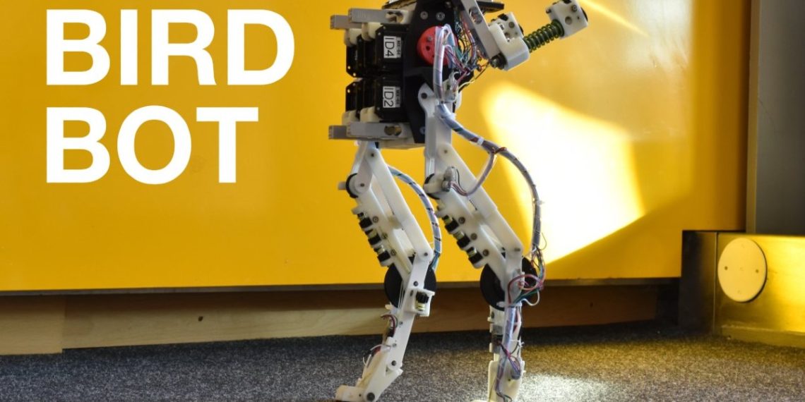birdbot-pajaros-robot-caminar 1