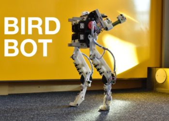 birdbot-pajaros-robot-caminar 1