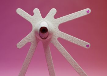 festival-ceremonia-coleccion-nft-ceremonios