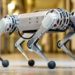 mit-robots-mini-chita-inteligencia-artificial-ingenieros 1