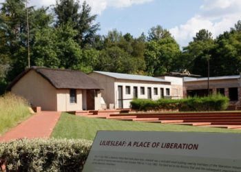 Venden NFT de la orden de arresto de Nelson Mandela