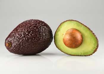 aguacate-nueva-zelanda-tecnologia-mexico-avogreen-perfección