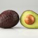 aguacate-nueva-zelanda-tecnologia-mexico-avogreen-perfección