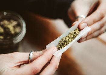 marihuana-420-the-waldos-california