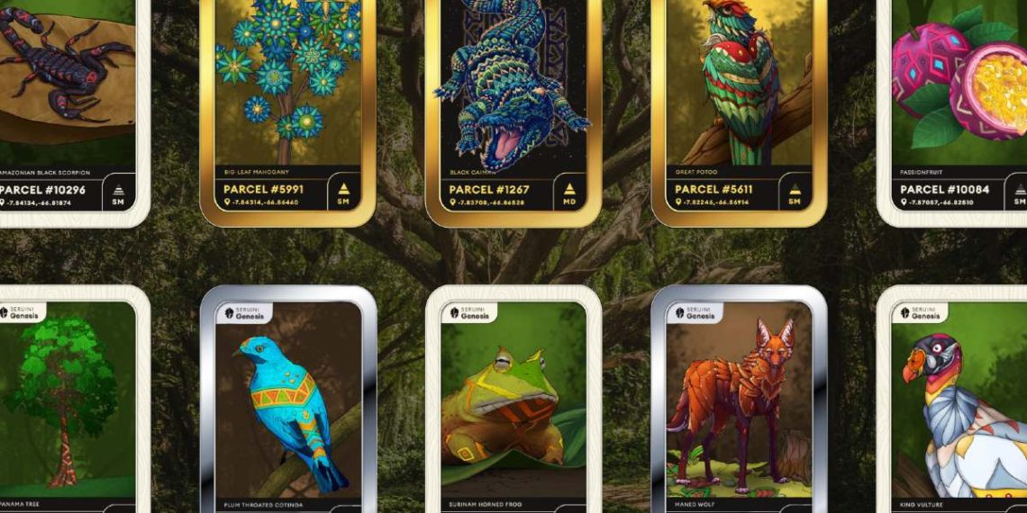 nft-selva-amazonica-preservacion-nemus