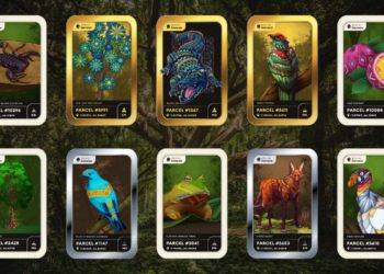 nft-selva-amazonica-preservacion-nemus