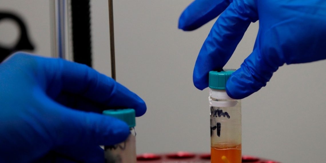 suplemento-sistema-inmunologico-tecnologia-japonesa-mexicanos