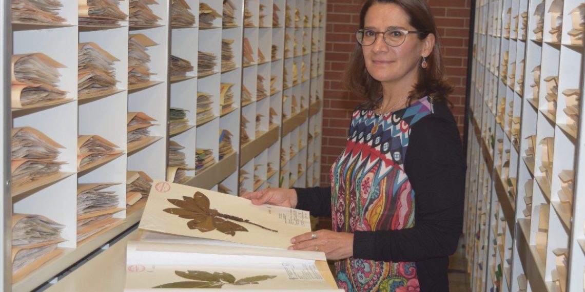 Susana-Aurora-Magallón-Puebla-unam-biologa-aaas